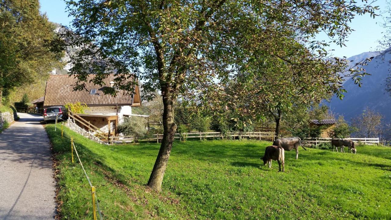 Chalet La Nos Molina di Ledro Room photo